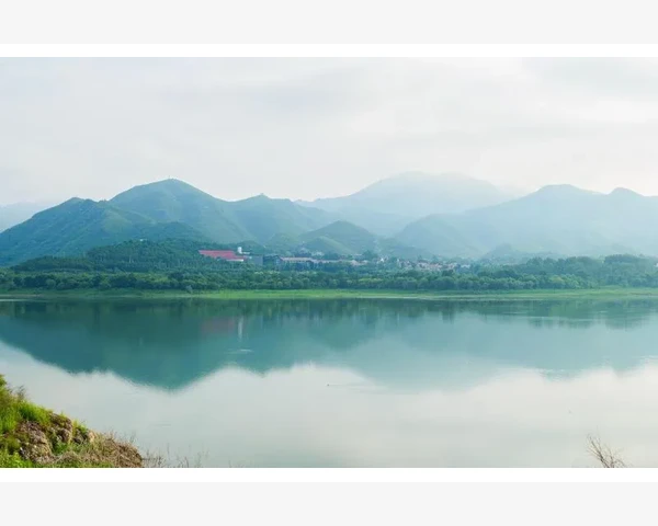 刮痧后皮肤发黑怎么办？ 解决方法详解
